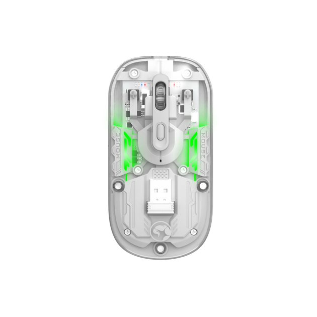 M808W Prism 20W | MarvoTech