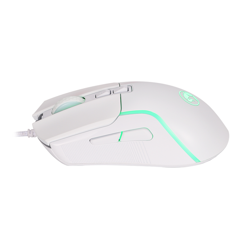 M292  CAPO 20